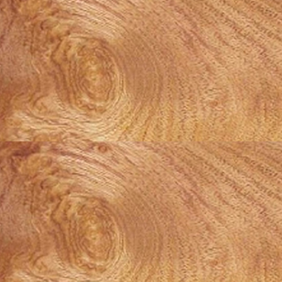 ROBLE TREBOL 2"/8"/HASTA 3,60 MTS