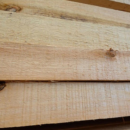SALIGNA 1"/5"/3,65 MTS